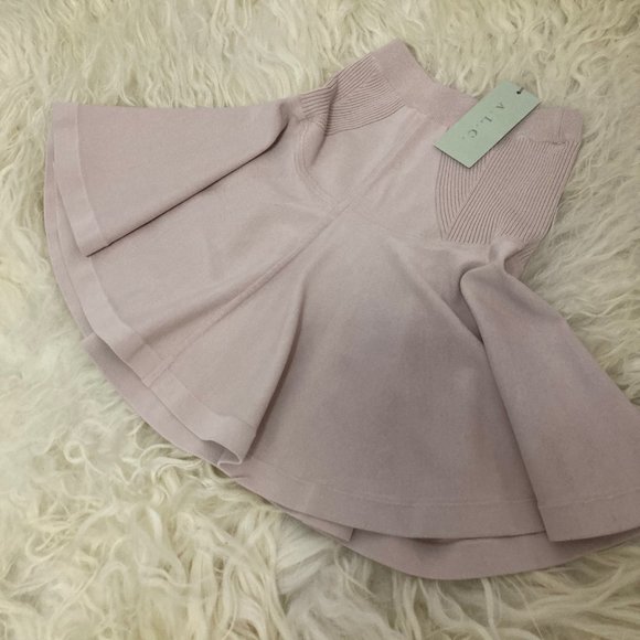 A.L.C. Mini Skirt - Picture 2 of 7